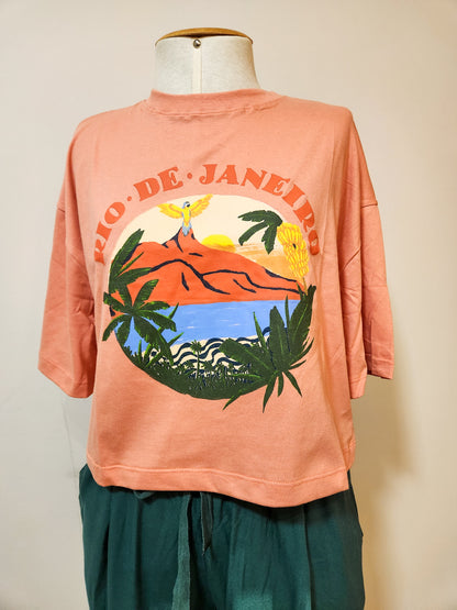 Camiseta Farm Rio de Janeiro Box Salmão